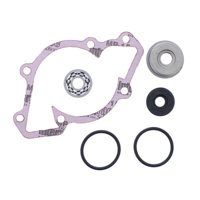 721258 Water Pump Rebuild Kit