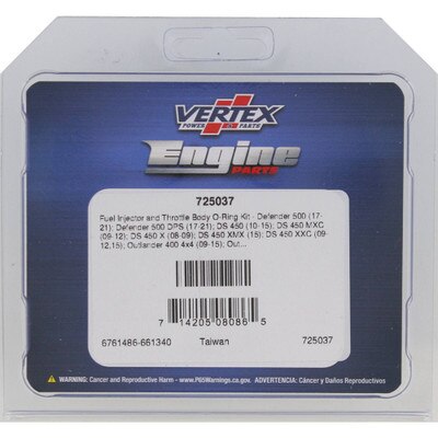 725037 Fuel Injector and Throttle Body O-Ring Kit