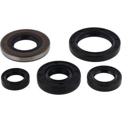 822139 Engine Oil Seal Kit