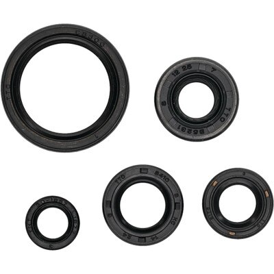 822994 Engine Oil Seal Kit