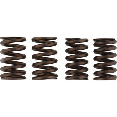 VSK2006 Valve Spring Kit